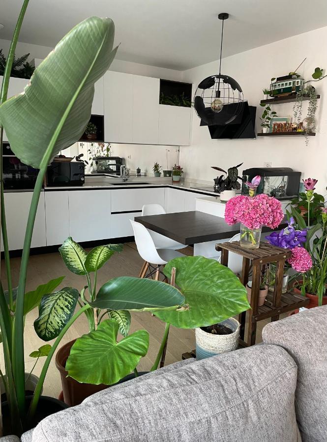 Habitación en casa particular Mowgli House - Luxury Private Milán